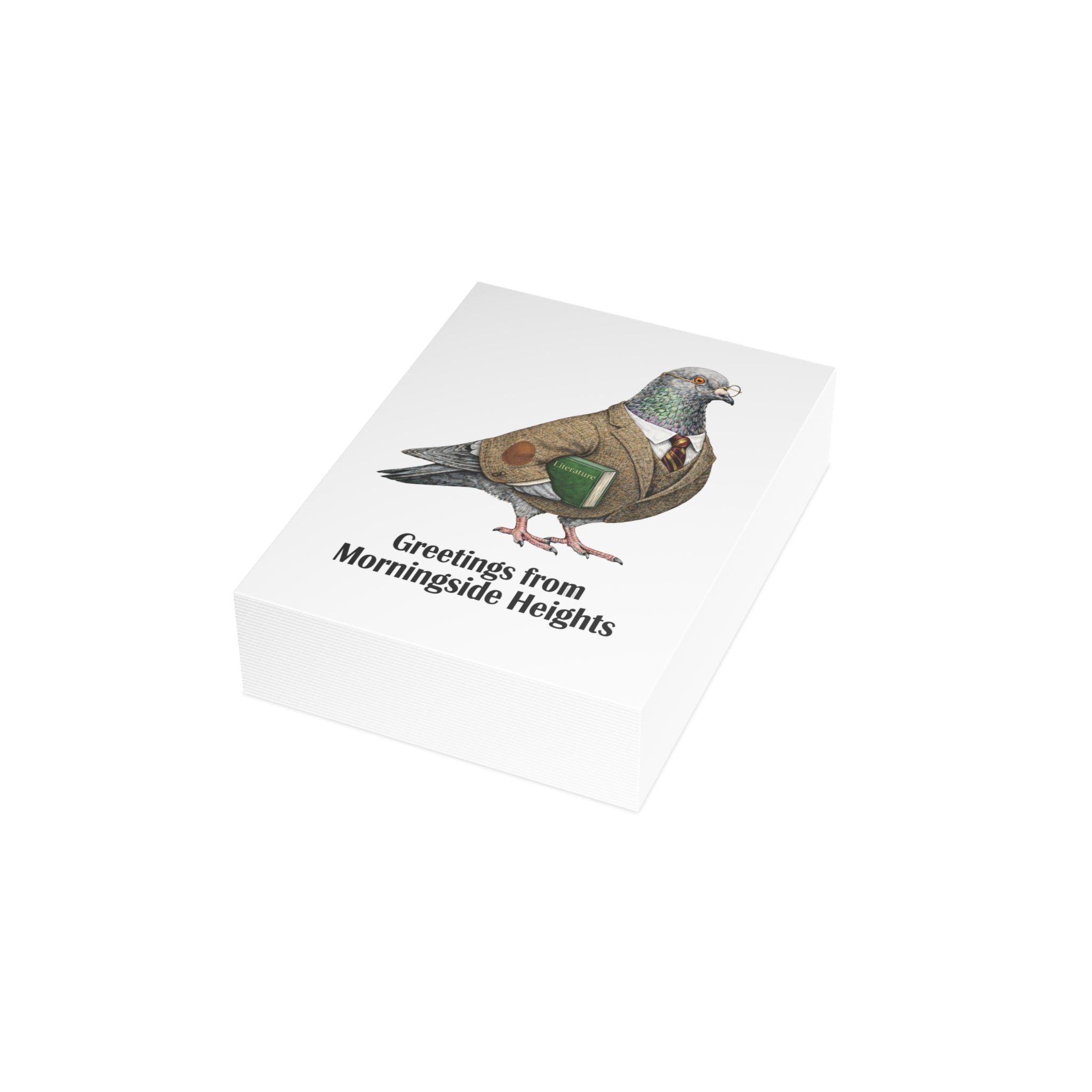 Morningside Heights NYC Pigeon Postcard Bundle (envelopes included)