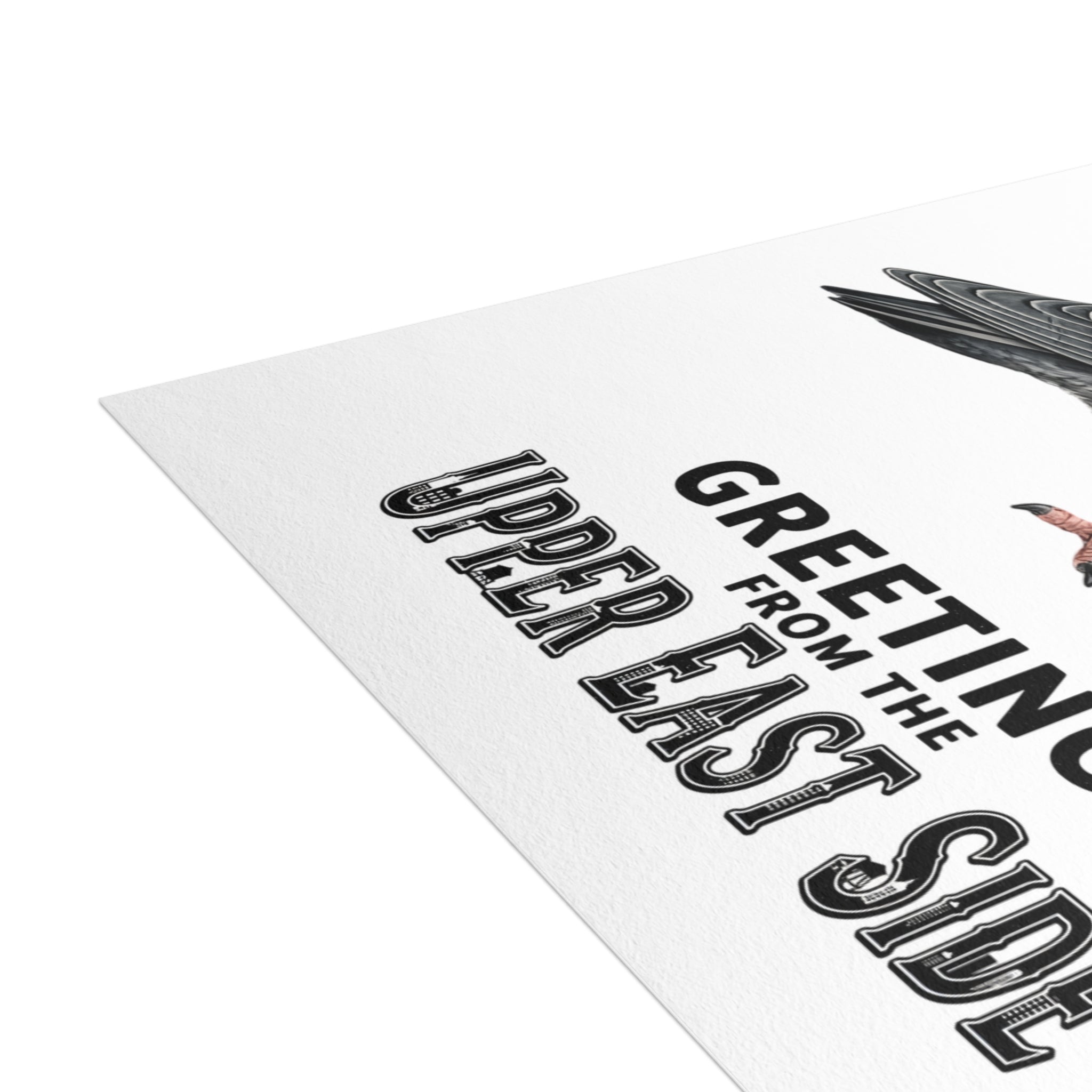 Upper East Side NYC Pigeon Postcard Bundle (envelopes included)