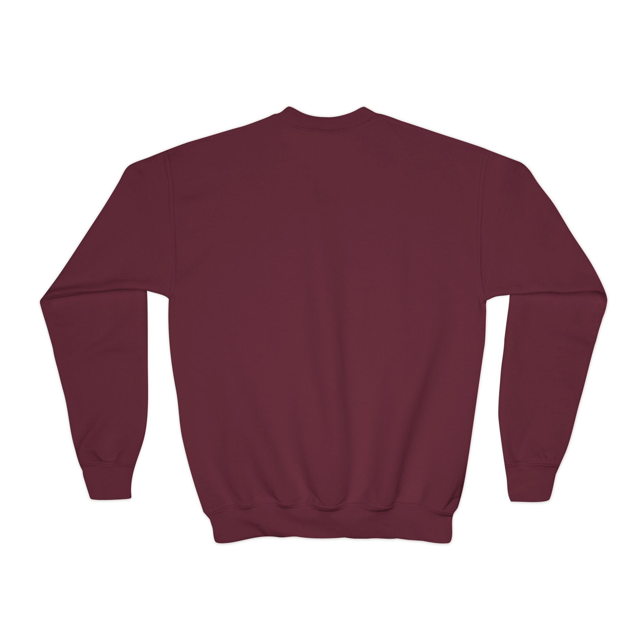 Sudadera de cuello redondo personalizable de Midtown NYC Pigeon NYC para niños    Suéter infantil de pájaro amante de las bicicletas de Nueva York