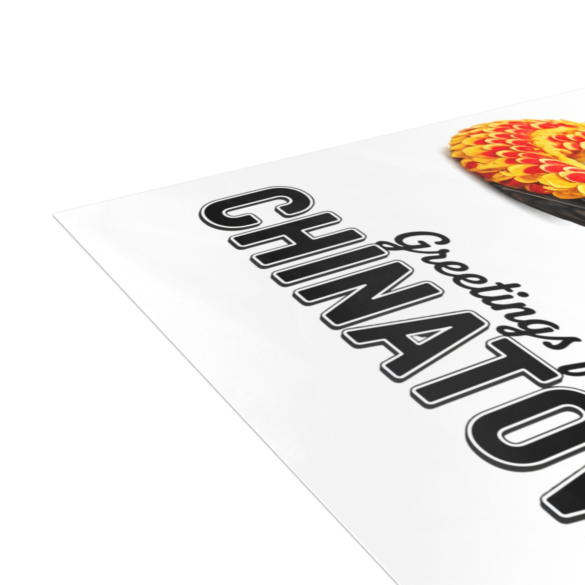 Chinatown NYC Pigeon Postcard Bundle (envelopes included)