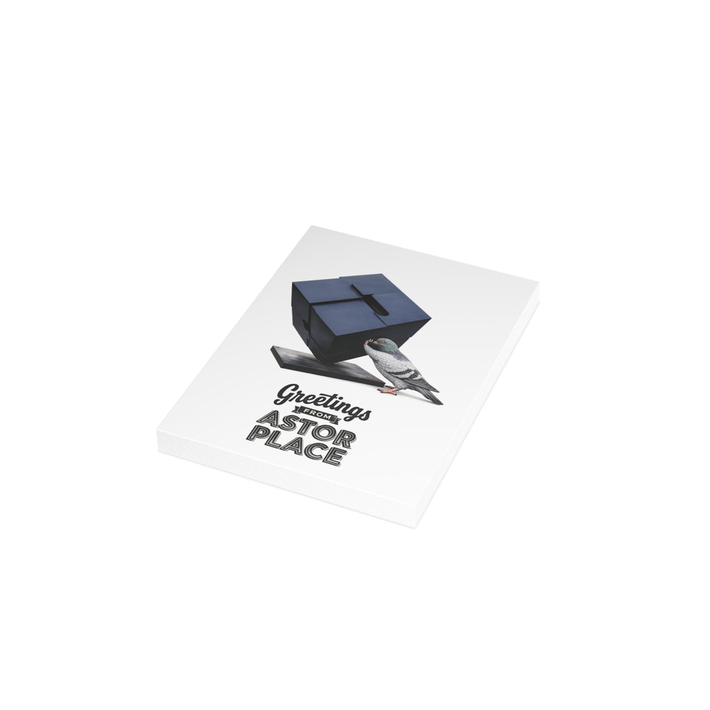 Astor Place NYC Pigeon Postcard Bundle (envelopes included)