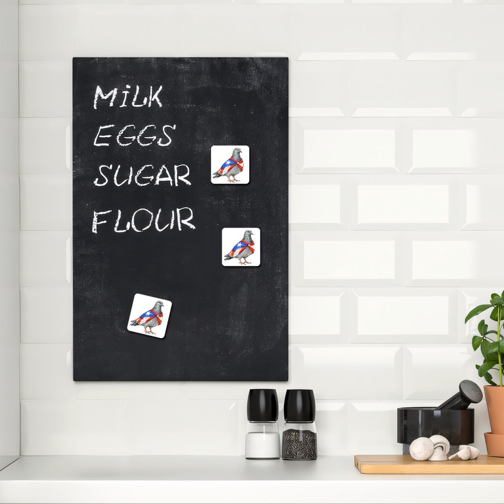 East Harlem NYC Pigeon Magnet