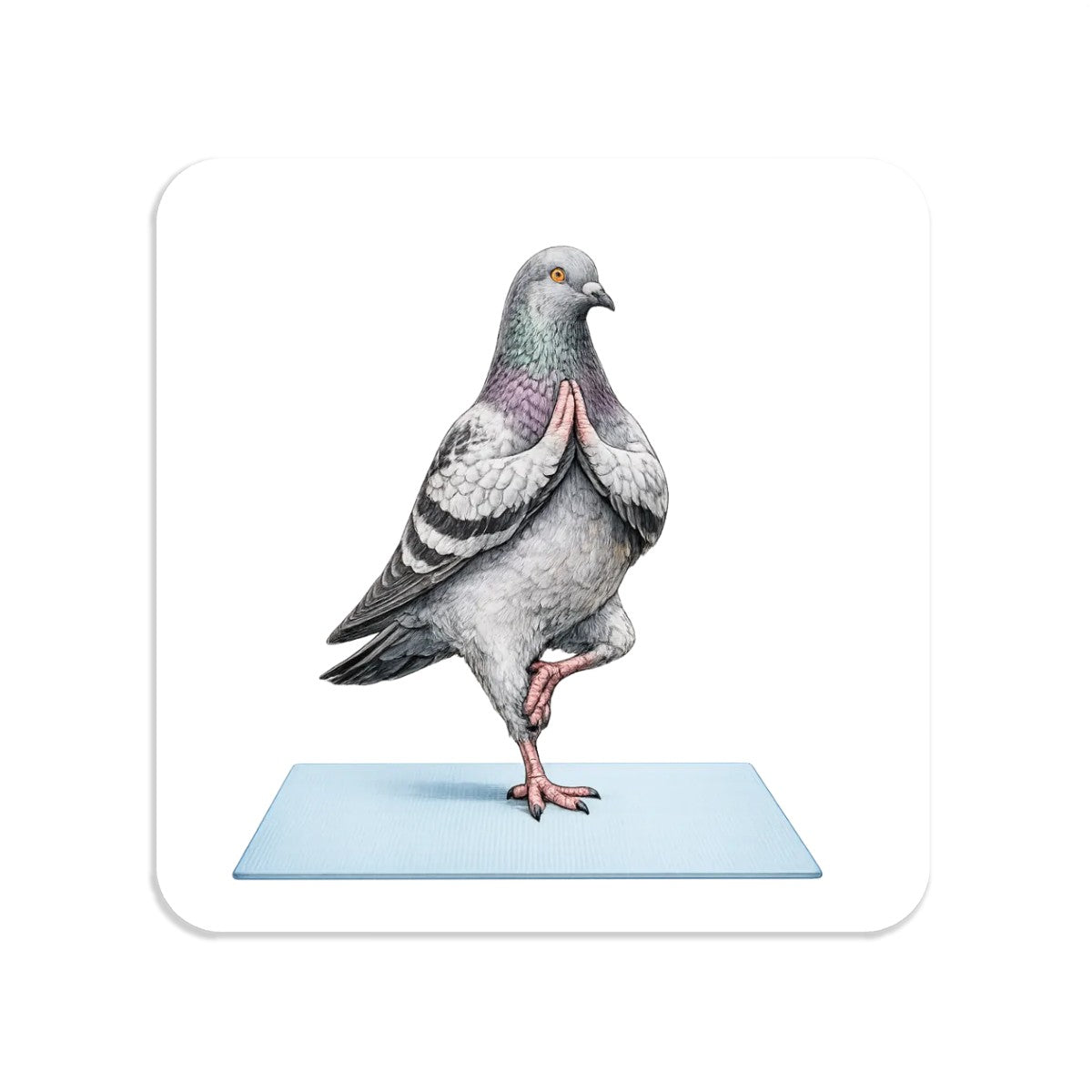 Central Park NYC Pigeon Magnet