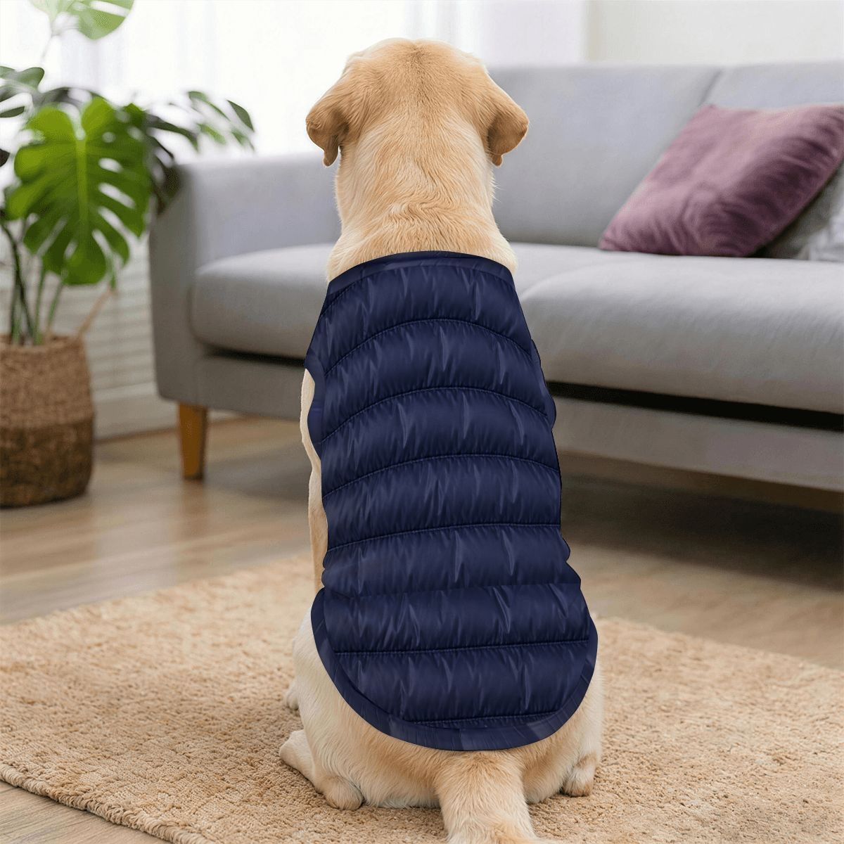 Financial District Polyester Large Dog Vest   FiDi Finance Bro Dog
