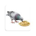 Greenpoint NYC Pigeon Magnet