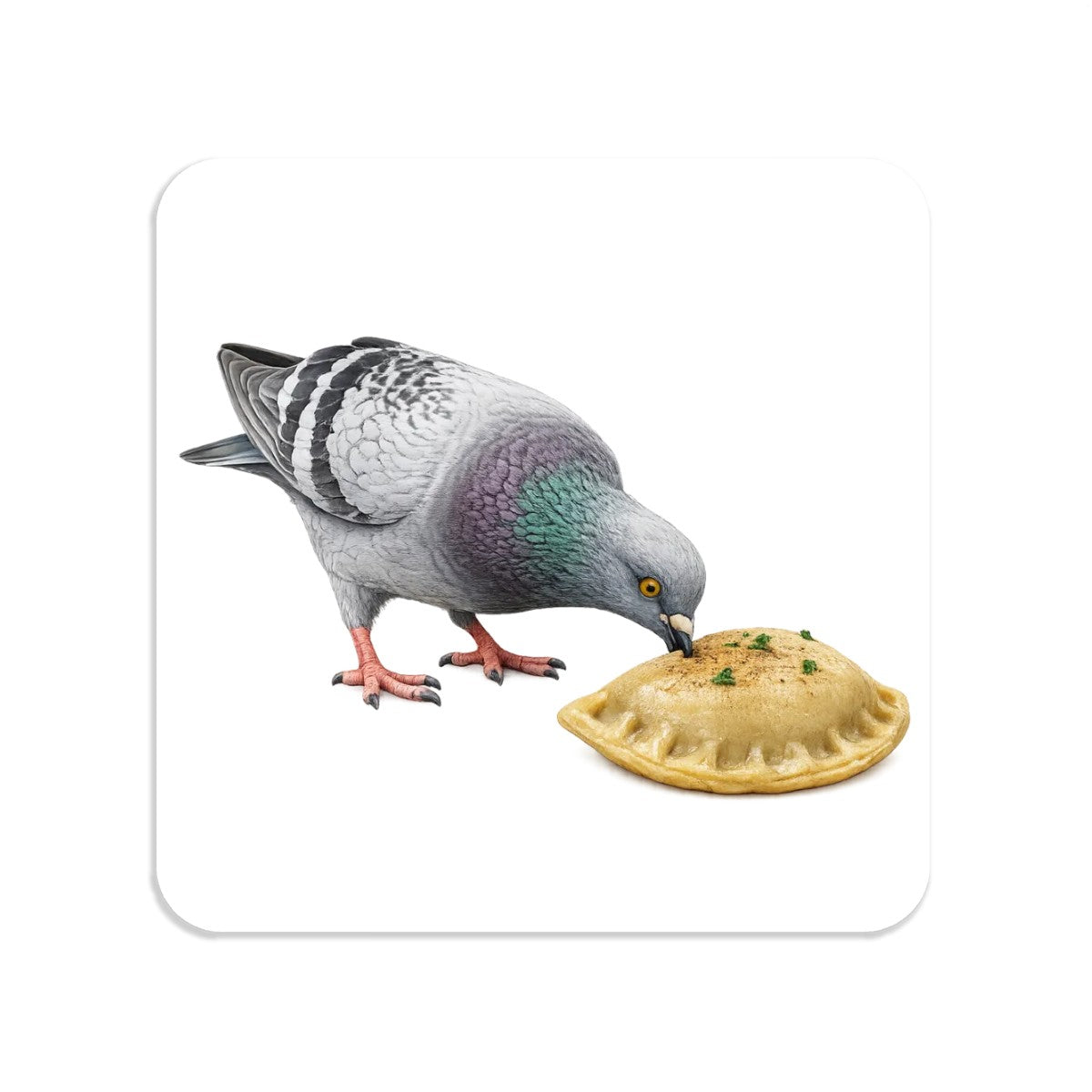 Greenpoint NYC Pigeon Magnet