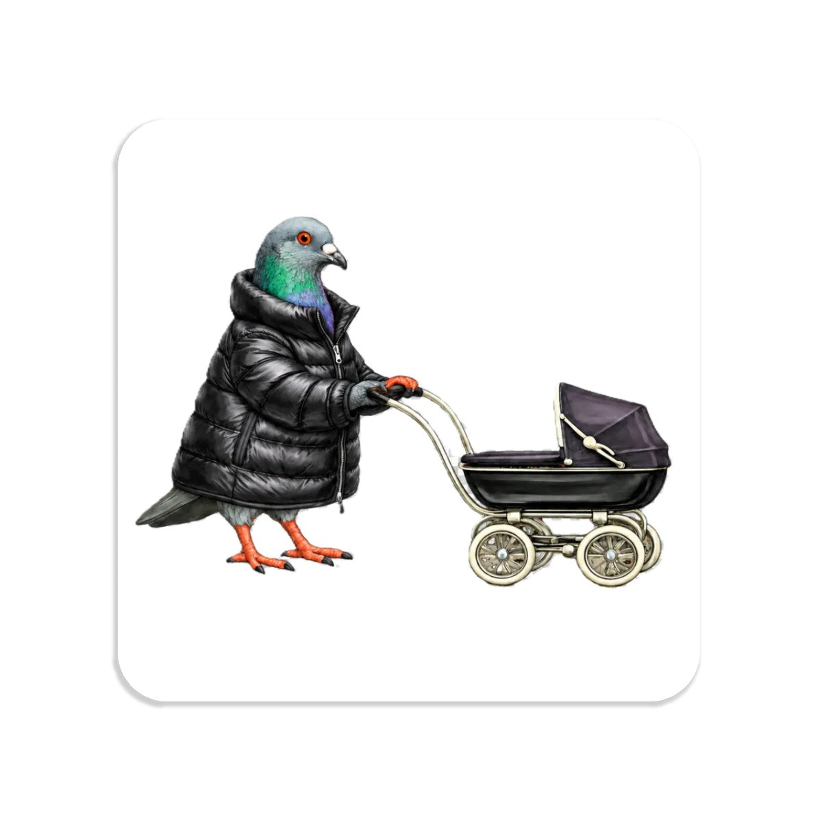 Park Slope NYC Pigeon Magnet