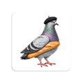Carroll Gardens NYC Pigeon