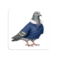 Upper East Side NYC Pigeon Magnet